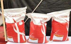 Menteri Pertanian Apresiasi Nutricell Ekspor Pakan Ternak ke Denmark: Indonesia Harus Tampil di Dunia 2 IMG 20220215 180815