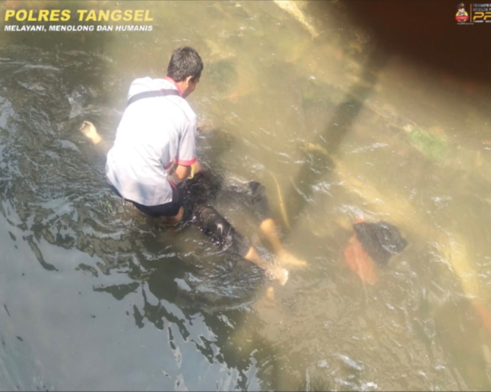 828D2ACD E761 4929 86B8 560C96CE280B