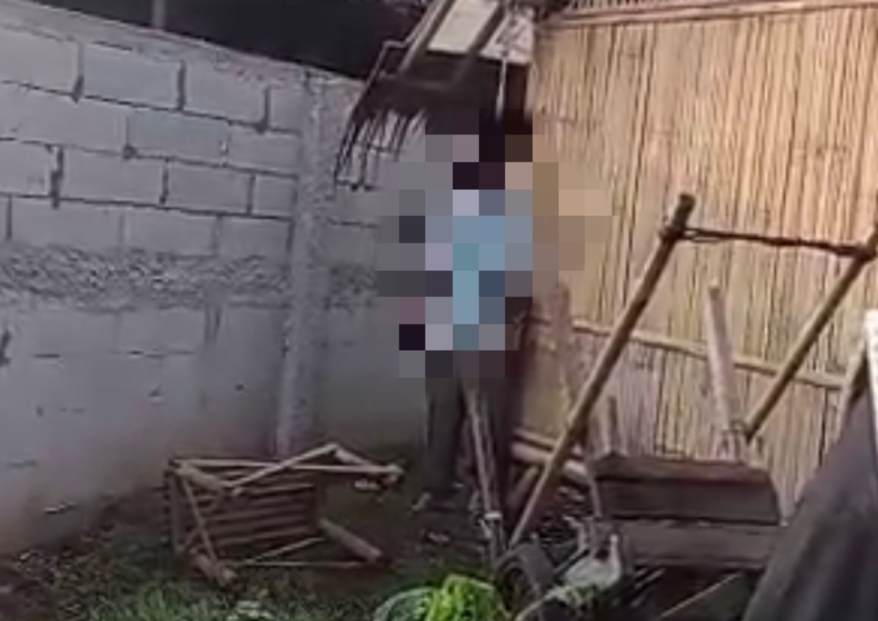 EDB5E7F9 ED79 4A7C A148 E7D81D316B43