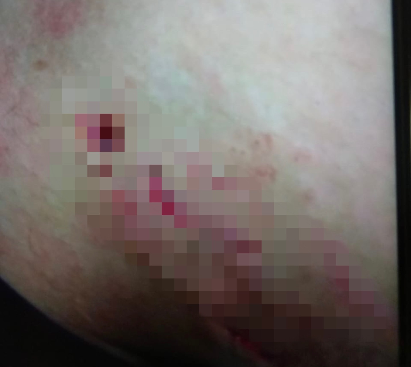 F15853BB D921 47A2 9BAE 17741EAFB981