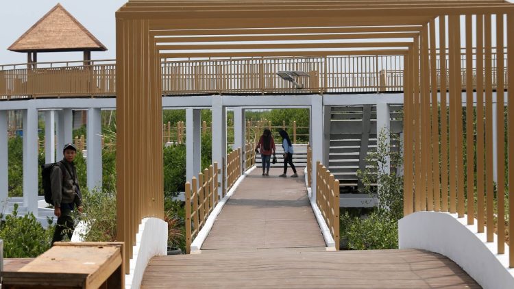 Pemkab Tangerang Bangun Ketapang Urban Aquaculture, Berhasil Entaskan Banjir dan Kembangkan Ekonomi Pesisir 3 WhatsApp Image 2022 11 03 at 10.12.51 2