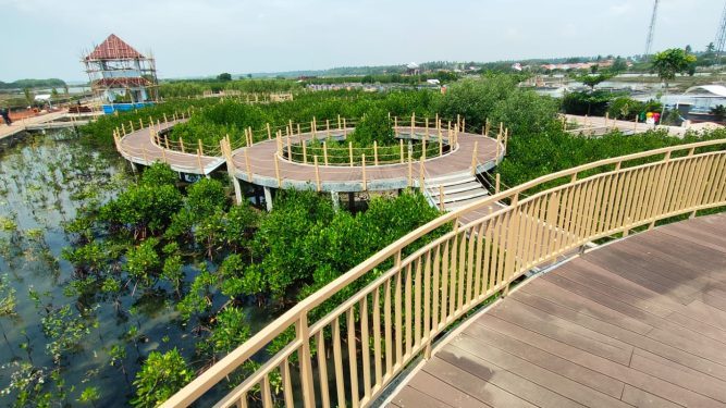 WhatsApp Image 2022 11 03 at 10.12.51