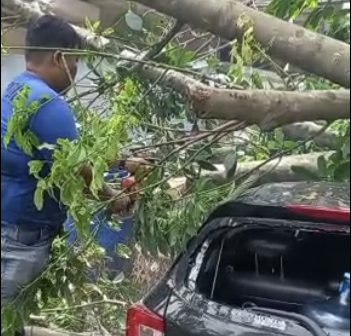 32D56270 328C 4513 B141 18020C154412