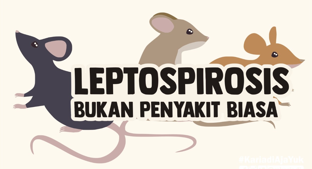 Penyakit Kencing Tikus Mematikan Bagi Manusia, Lakukan Ini Agar Tidak Terpapar 1 Leptospirosis