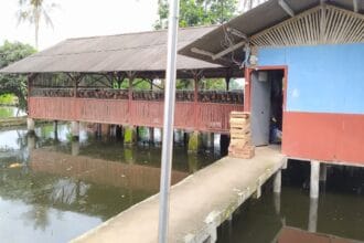 Longyam menjadi solusi dalam hal peternakan ayam dan ikan.