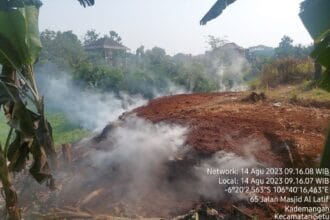 5ff1179b d530 4cfc b80d b60371961b47