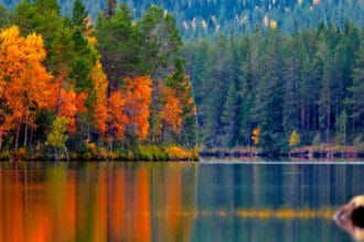 Finlandia memiliki ribuan danau.