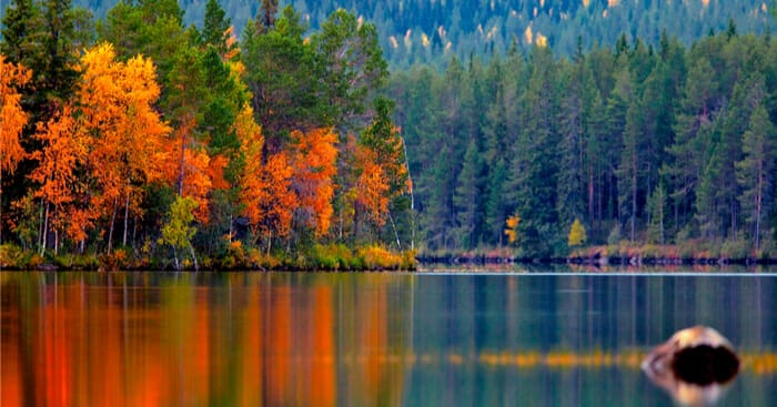 Finlandia Negeri dengan Banyak Danau 1 Finlandia memiliki ribuan danau.