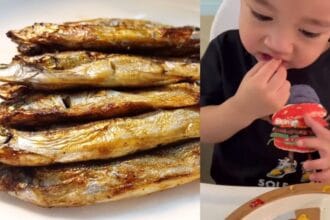 Ikan shisamo menjadi populer setelah menjadi favorit Cipung.