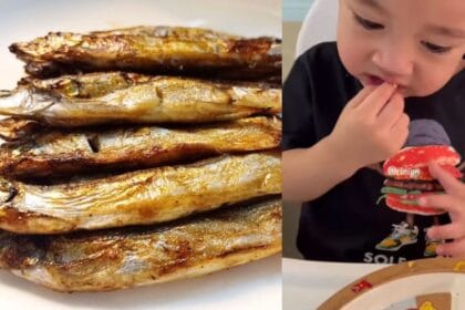 Ikan shisamo menjadi populer setelah menjadi favorit Cipung.