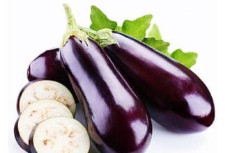 Terong, buah atau sayur?