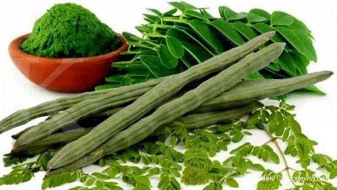 manfaat daun kelor bagi nutrisi dalam tubuh