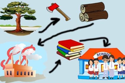 Cara membuat kertas.