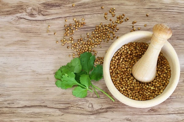 Ketumbar, rempah bumbu masakan yang populer.