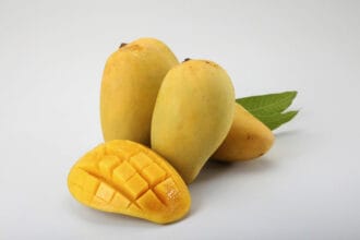Mangga merupakan buah yang popular dengan beragam jenis.