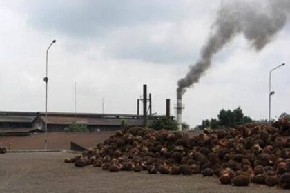 Polusi Limbah Pabrik Kelapa Sawit