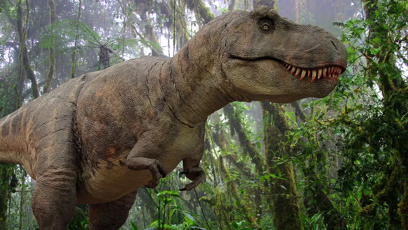 Tyranosaurus merupakan pemangsa hewan dinosaurus lain,