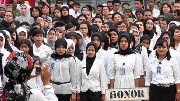 tenaga honorer asn