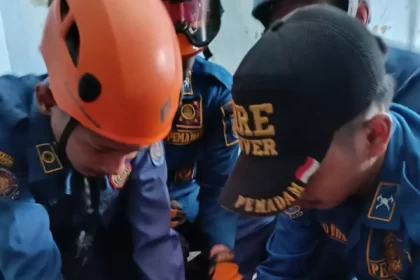 Damkar dan Penyelamatan Kota Depok Menghimbau Agar Masyarakat Waspada Dengan Hewan Liar