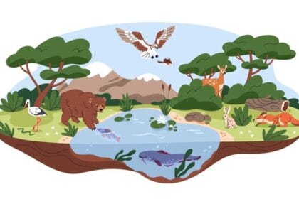 Hari Habitat Sedunia diperingati pada 3 Oktober.