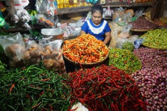 Harga Cabai Meningkat