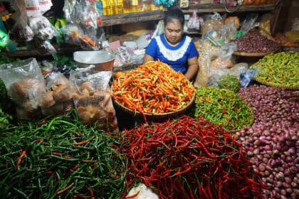 Harga Cabai Meningkat