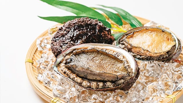 Kerang abalon merupakan kerang termahal di dunia.