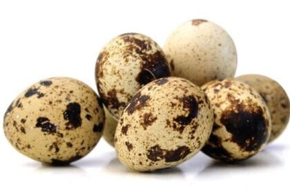 Telur puyuh punya banyak manfaat untuk kesehatan.