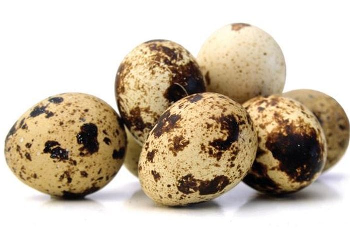 Telur puyuh punya banyak manfaat untuk kesehatan.