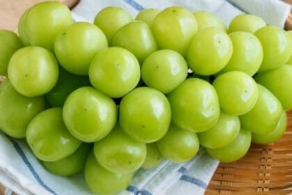 Anggur muscat yang sedang digandrungi. (Foto : Diadona)