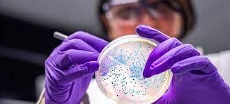 Hari Kesadaran Antimikroba. (Foto : Proaktev)