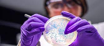 Hari Kesadaran Antimikroba. (Foto : Proaktev)