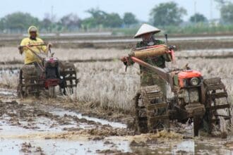 Ilustrasi balapan traktor Thailand.