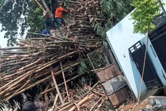 Evakuasi Bambu Sepanjang 15 Meter e1699363632433