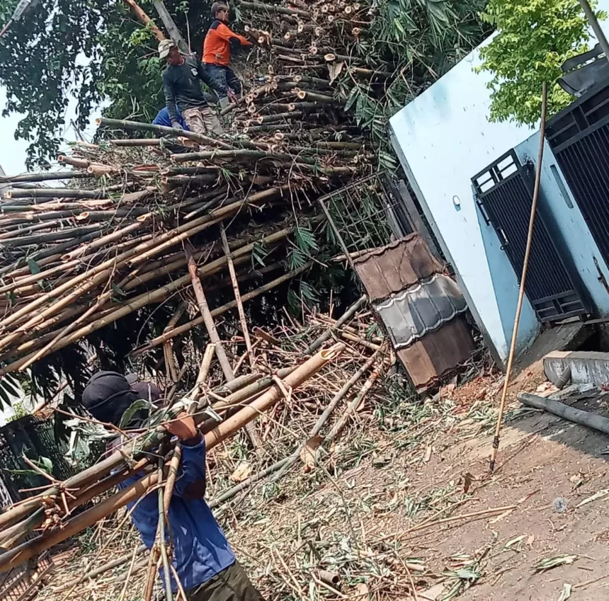 Evakuasi Bambu Sepanjang 15 Meter e1699363632433