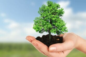 Hari Menanam Pohon, (Foto : Woman Indonesia)