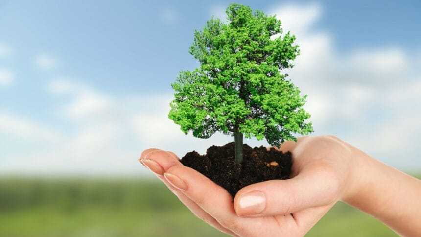 Saatnya Menanam Pohon, Demi Bumi yang Lebih Baik 1 Hari Menanam Pohon, (Foto : Woman Indonesia)