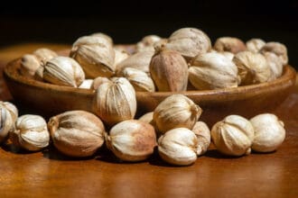 Kapulaga merupakan rempah dengan banyak manfaat. (Foto : Jovee)