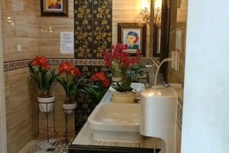 Toilet mewah yang viral. (Foto : Dream)