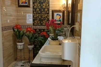 Toilet mewah yang viral. (Foto : Dream)