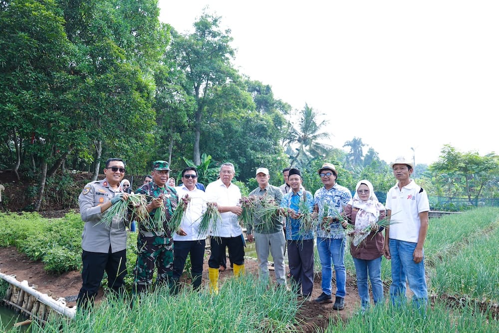 Wali Kota Tangsel Ikut Panen Raya, Minta Kelompok Wanita Tani Jaga Ketahanan Pangan 3 Wali Kota Tangsel Benyamin Davnie