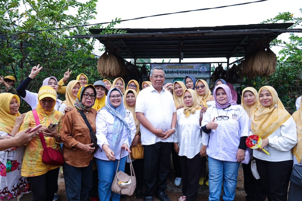 Wali Kota Tangsel Ikut Panen Raya, Minta Kelompok Wanita Tani Jaga Ketahanan Pangan 2 Wali Kota Tangsel Benyamin Davnie