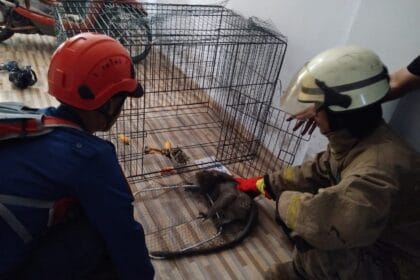 BPBD Kabupaten Tangerang