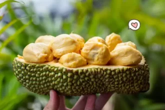 Cempedak. (Foto : Orami)