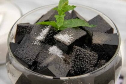 Cincau, agar-agar dari tumbuhan. (Foto : Tokopedia)