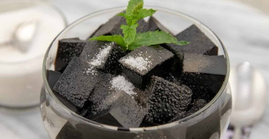 Cincau, agar-agar dari tumbuhan. (Foto : Tokopedia)