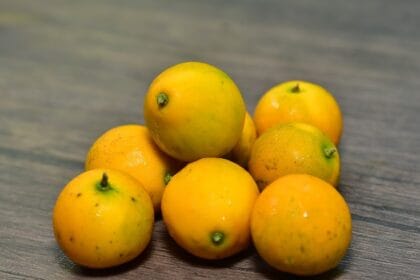 Jeruk kimkit. (Foto : On My Way)