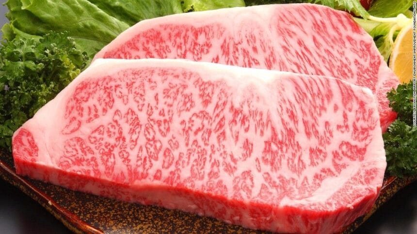 Wagyu, daging khas Jepang dengan segala keunikan. (Foto : Halal Navi)