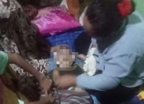 Tragis, Balita di Tangerang Tewas Dipatok King Kobra Saat Main Di Rumahnya 1 balita di tangerang