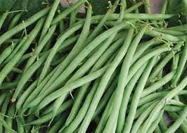 Buncis. (Foto : Pasar Segar)